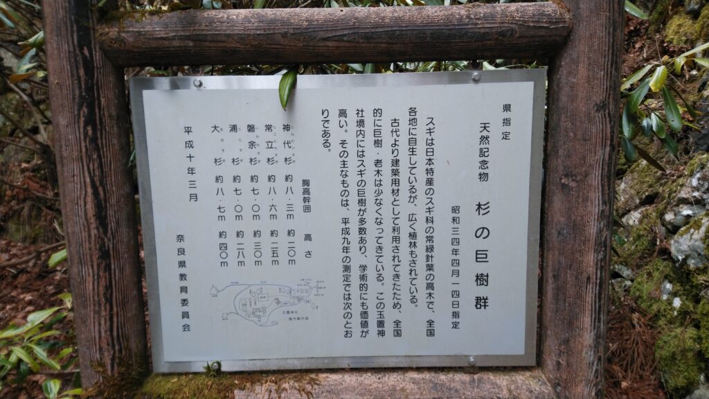 「玉置神社」の境内にある「杉の巨樹群」の説明