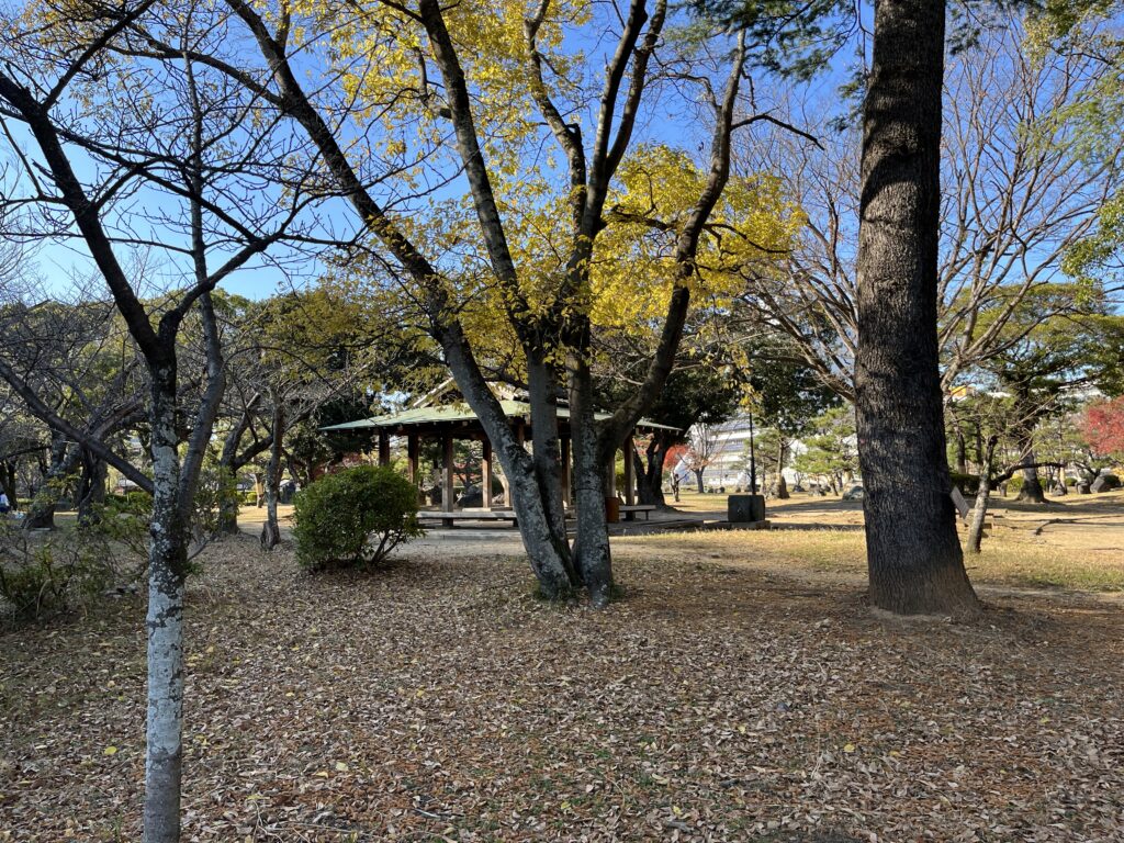和歌山城内の動物園の二の丸広場