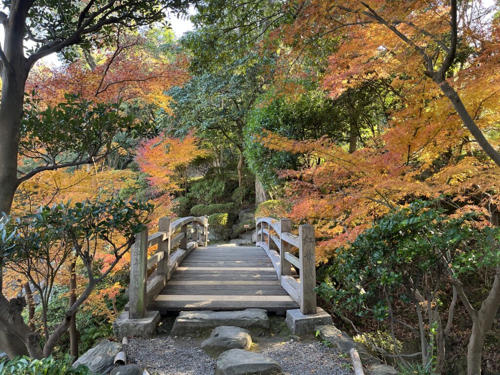 和歌山城内「西之丸庭園」の紅葉