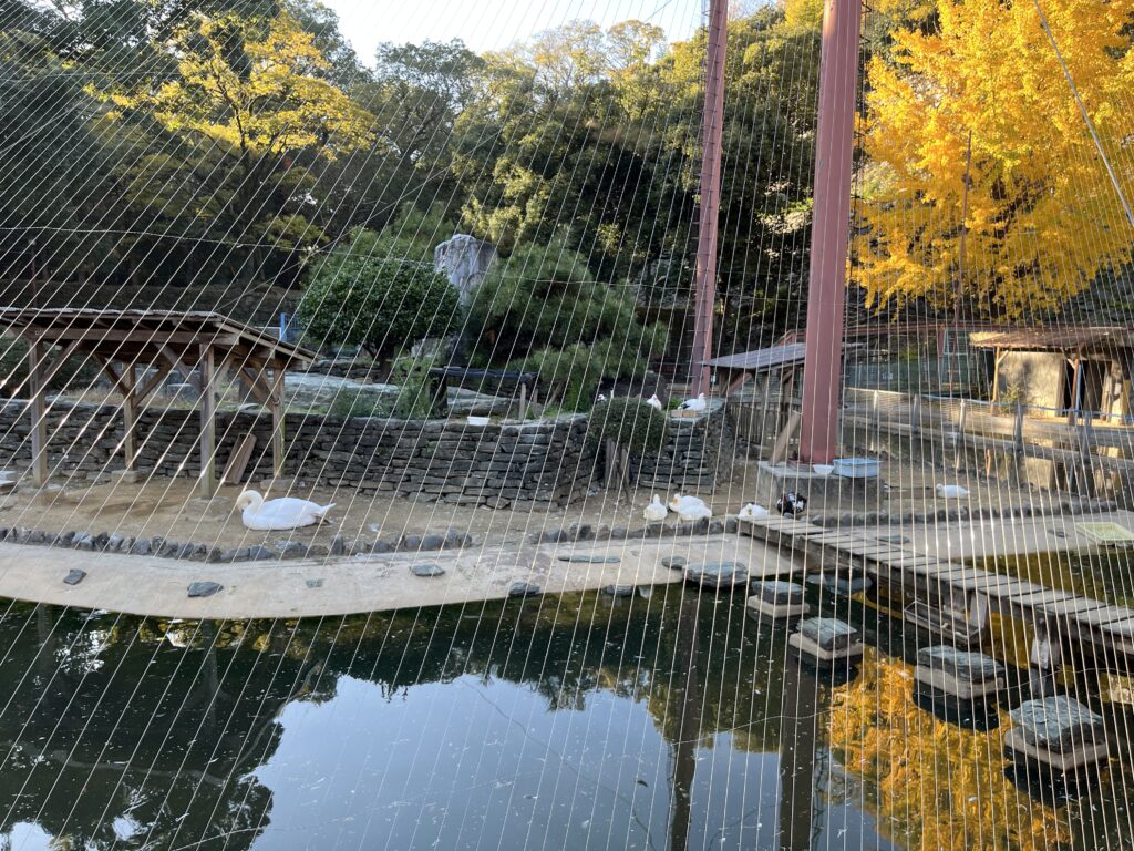 和歌山城内の動物園の水禽園の風景