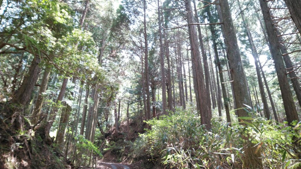 「大滝口女人堂」への熊野古道「小辺路」